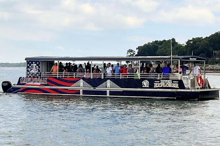 2 Stunden Delfin-Öko-Tour