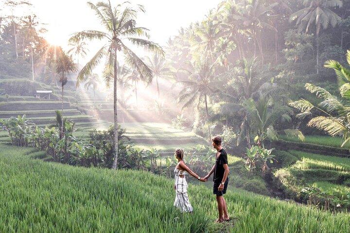 Bali Night Market Experience und Ubud Highlights Tour