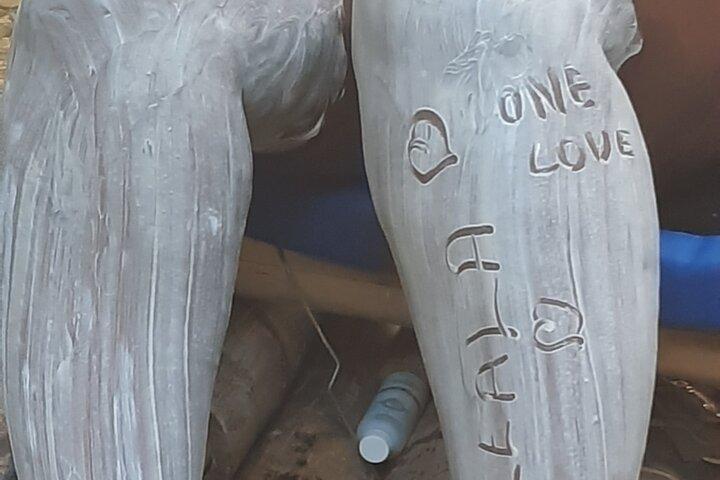 River Rafting Limestone Massage en Shopping Tour in de baai van Montego