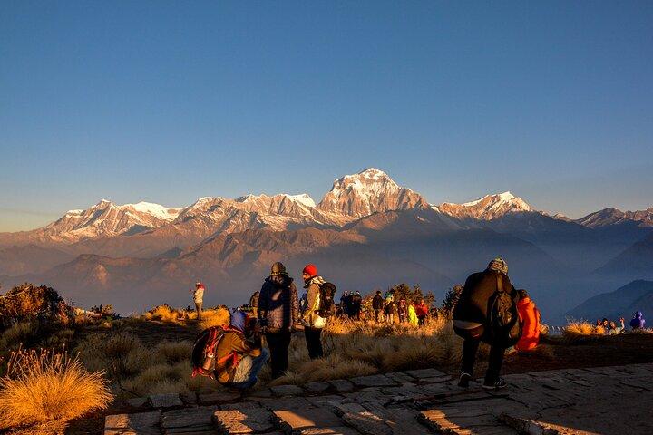 Pokhara: 4 giorni di Poon Hill Ghandruk Trek privato