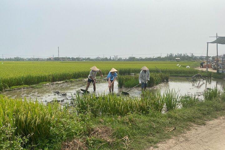 Hoi An Country Vespa Tour: Comida, Cultura e Vida Diária