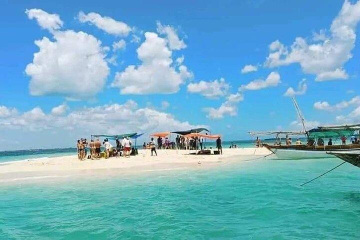 Blue Safari Zanzibar volledige dagtrip