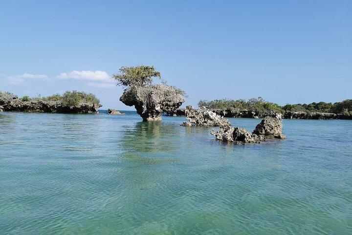 Blue Safari Zanzibar volledige dagtrip