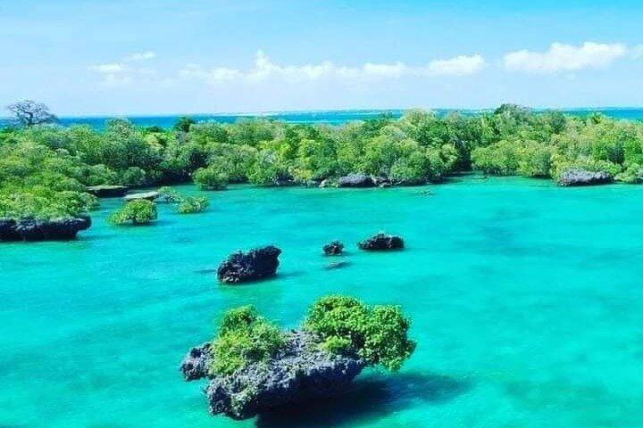 Blue Safari Zanzibar volledige dagtrip
