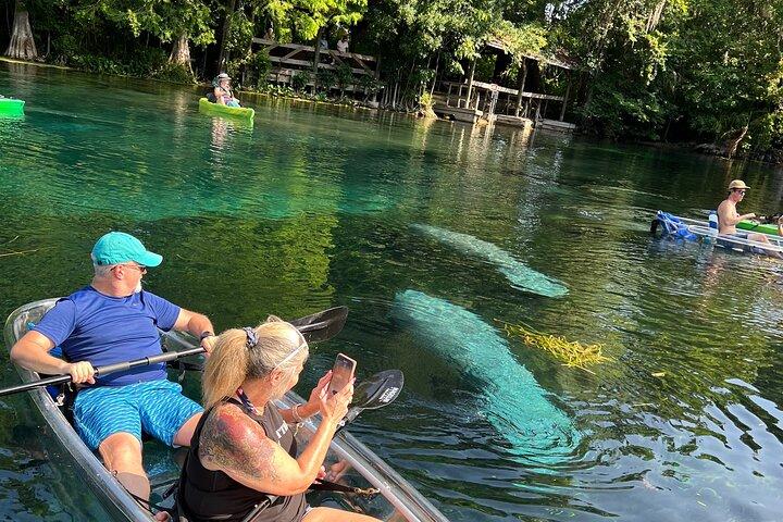 Silver Springs Clear Kayak Manatee, Monkey & Wildlife Adventures aan Favorieten toegevoegd