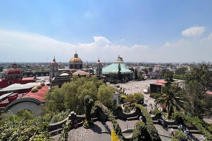 100% private tour in Guadalupe's Basilica with transport