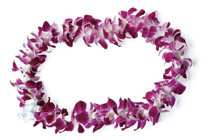 Traslado privado al aeropuerto de Honolulu (Llegada con Lei o Salida)