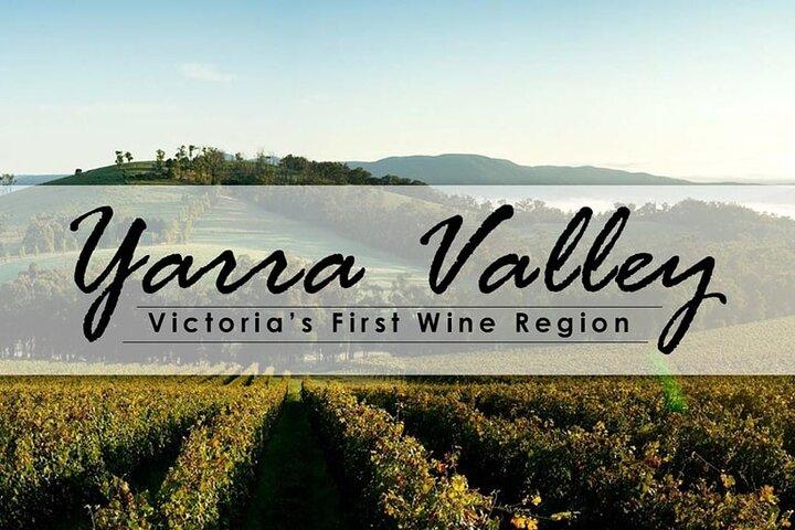 Excursion d'une journée privée dans la vallée de Yarra selon vos choix