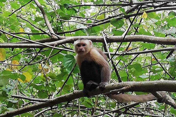 Randonnée privée au parc Tayrona à Cabo San Juan