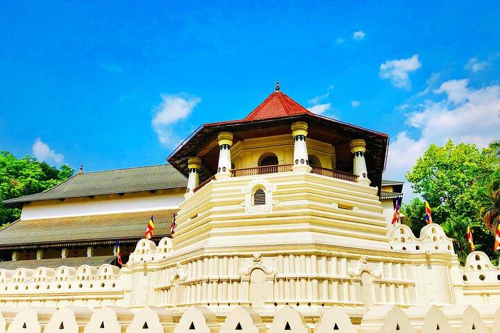 Excursion d'une journée à Kandy depuis Colombo