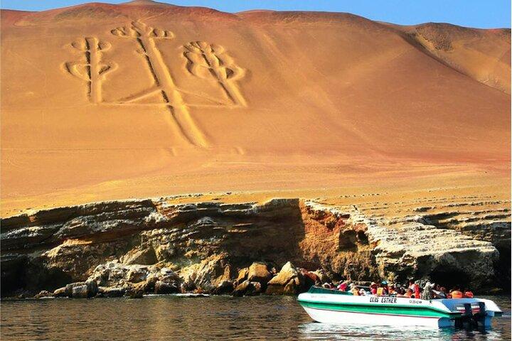 Guidade äventyr till Paracas och Huacachina från Lima