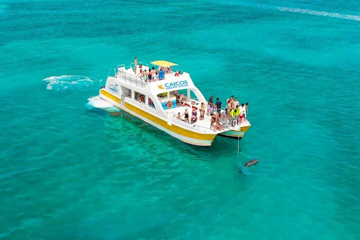 Halvdagskryssning på morgonen från Providenciales med snorkling och Iguana Island