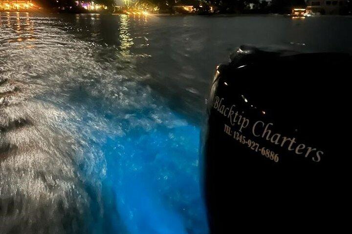Tour privato della bioluminescenza a Grand Cayman