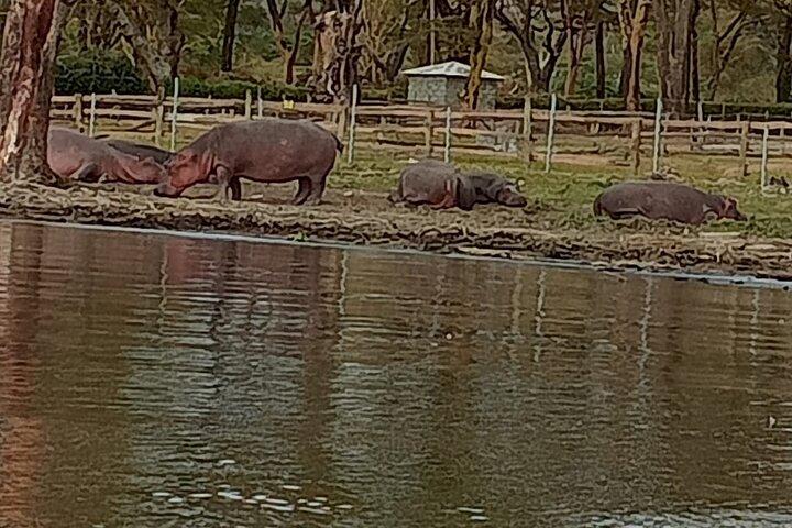 ヘルズゲート国立公園とナイバシャ湖日帰りツアー