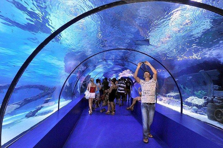 アンタルヤ水族館入場券とアラニヤからの往復送迎付き