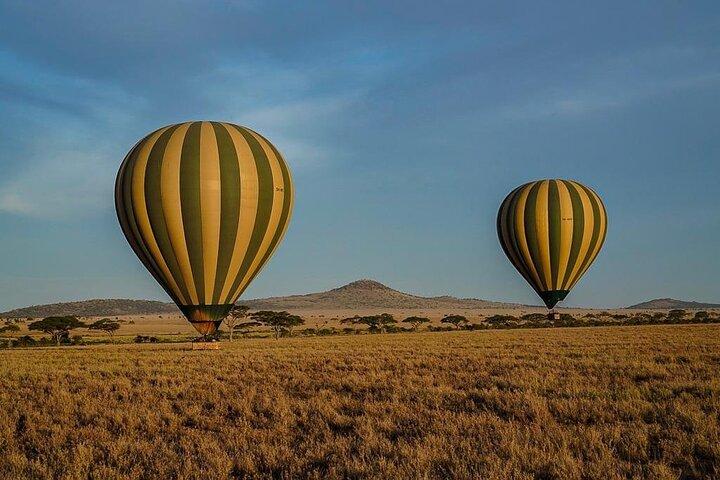 Excursión de un día Safari en el cráter Ngorongoro