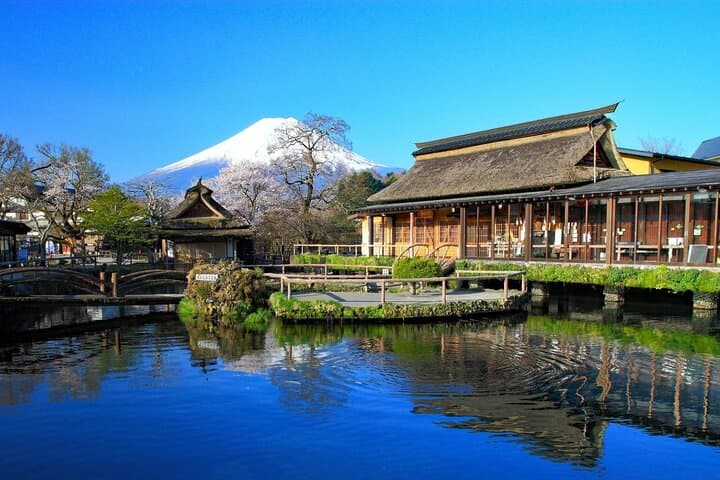 Tokyo: 10-hour Mount Fuji Private Customizable Day Tour