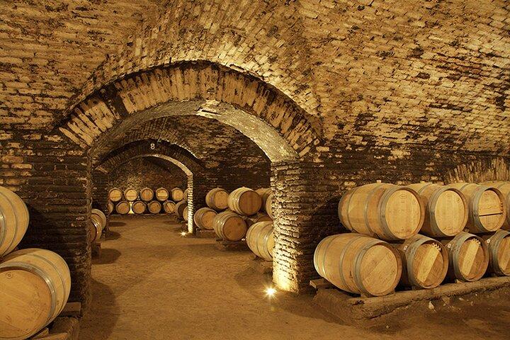 Tour viña Concha y toro