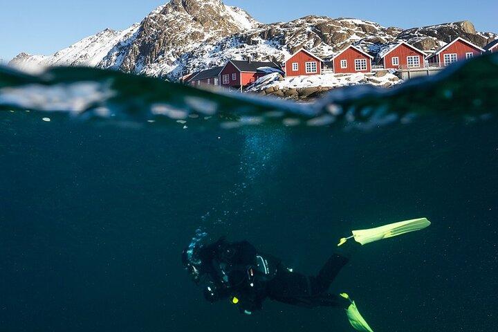 Expérience unique de plongée sous-marine