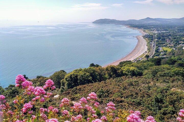 プライベートダブリン（ダン・ラオゲール）人気の海岸ウォーキングツアー