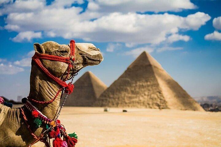 Full Day Tour to Cairo from Sharm El Sheikh By Bus all including