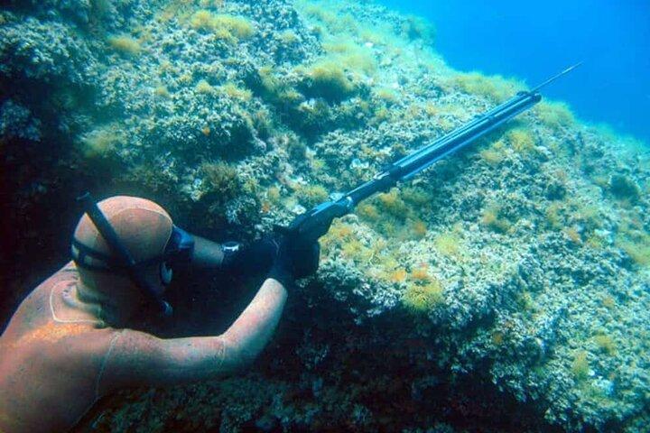 Viaggio privato di pesca subacquea da Atene