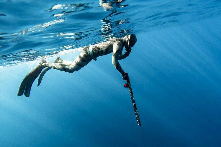 Viaggio privato di pesca subacquea da Atene