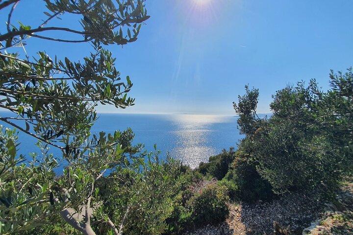 Private Peljesac Weinprobe Tour ab Dubrovnik
