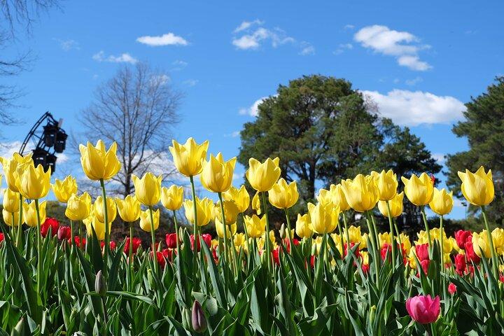 Excursión a la florida de Canberra