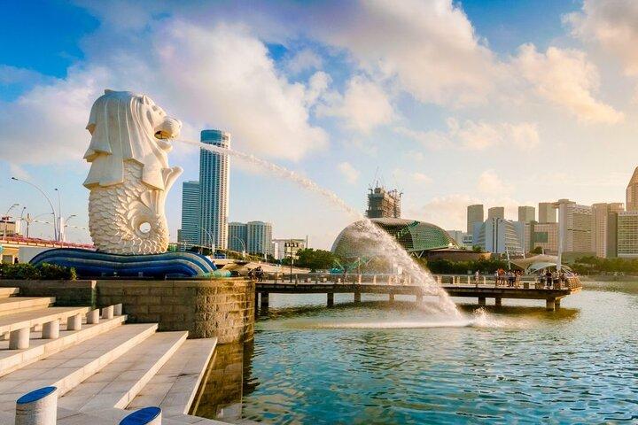 Traslado desde el Singapore City Hotel a Marina Bay Cruise Terminal /SCC