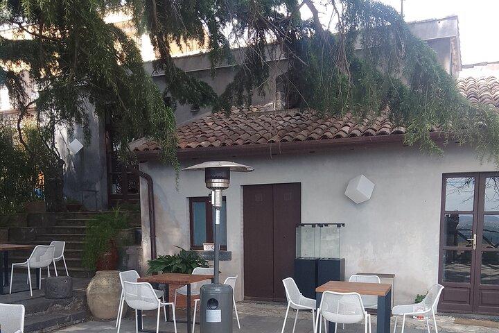 Tour due cantine dell'Etna degustazione vini e pranzo