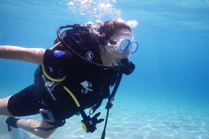 Esperienza di immersioni subacquee private di 3 ore