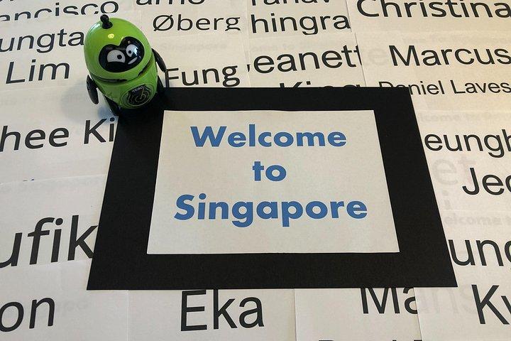 リムジンバスでのシンガポール到着地上送迎
