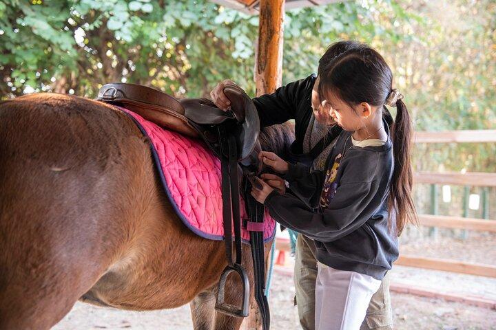 Paseos en poni en Luang Prabang