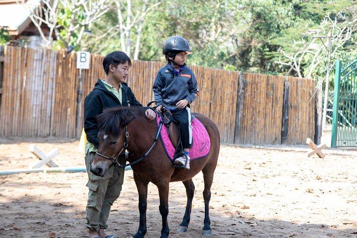 Paseos en poni en Luang Prabang