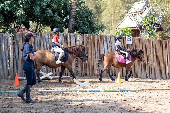 Paseos en poni en Luang Prabang