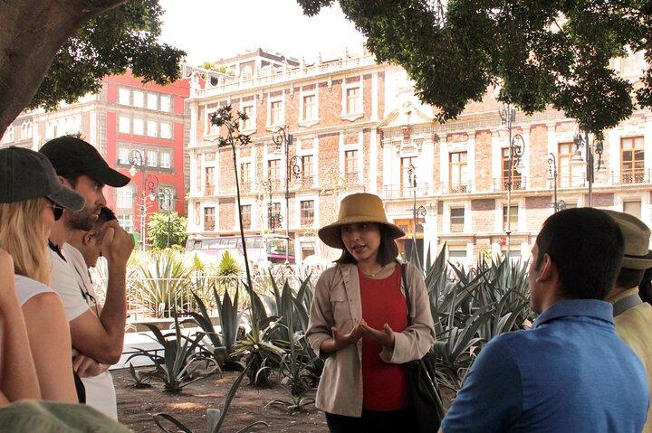 Explore Mexico City: A Journey Through History, Art, and Cuisine!