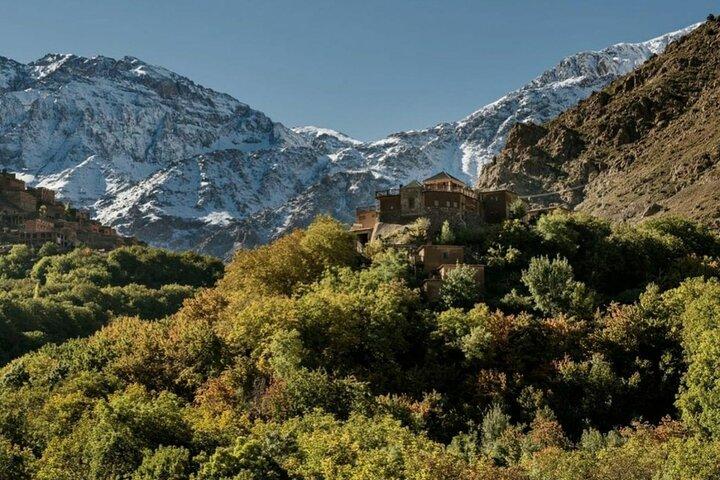 Atlas mountains privat day trip