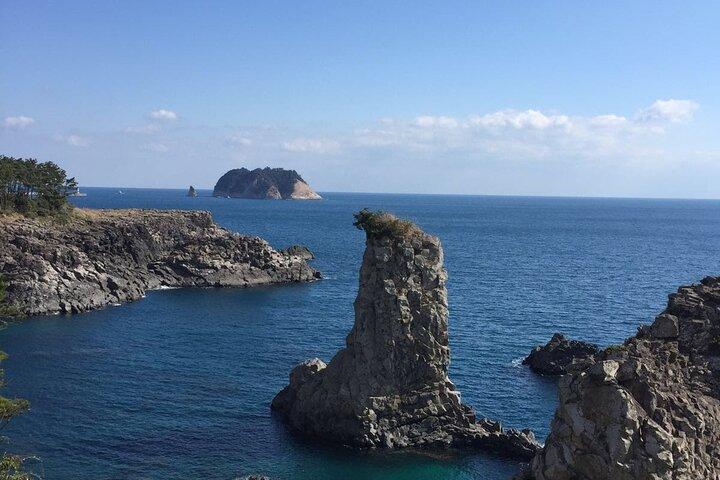Handam Coastal Road & Camellia Hill - Privat tur vest for jeju