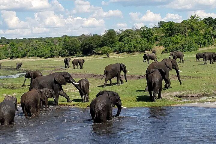 Chobe-Tagesausflug von Livingstone