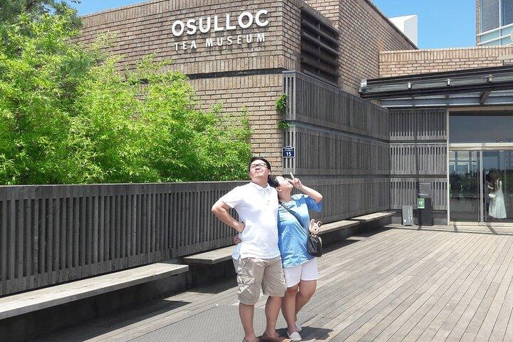 Tour privato in taxi dell'isola di Jeju a O`sulloc, Innisfree e Iho Beach