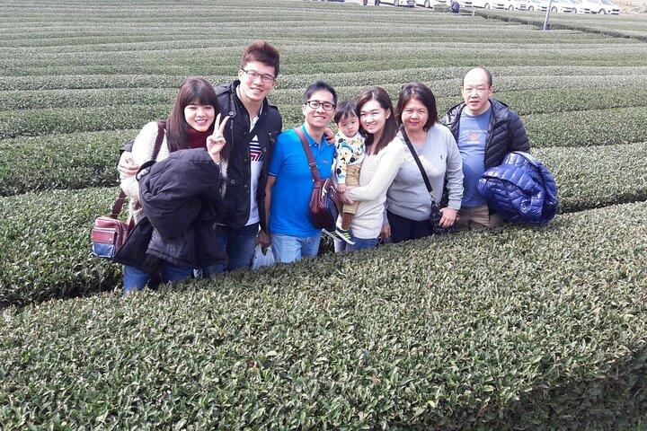 Jeju-eiland privétaxitour in O`sulloc & Innisfree en Iho Beach