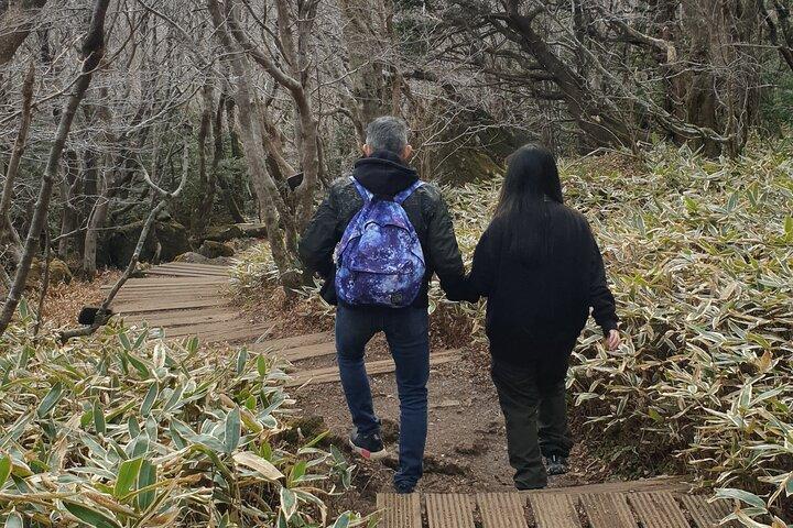 Jeju Island Private Taxi Tour: Mt. Hallasan e Cachoeiras