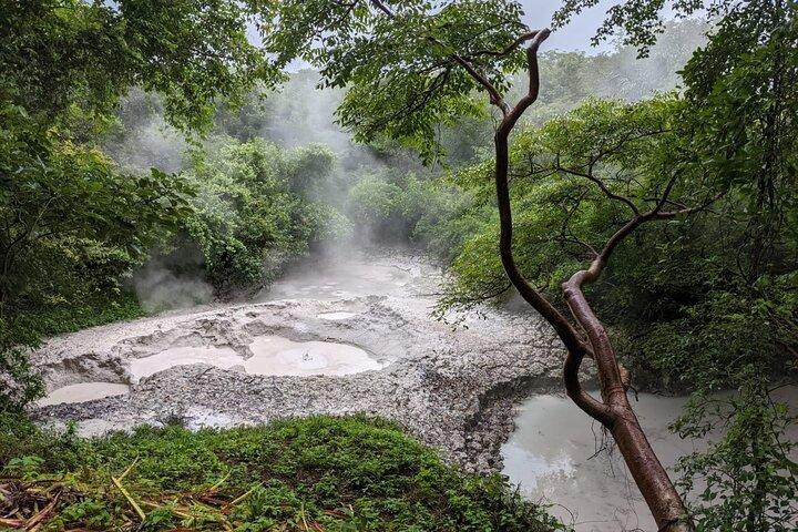 Randonnée au volcan Rincón de la Vieja et sources chaudes, journée complète