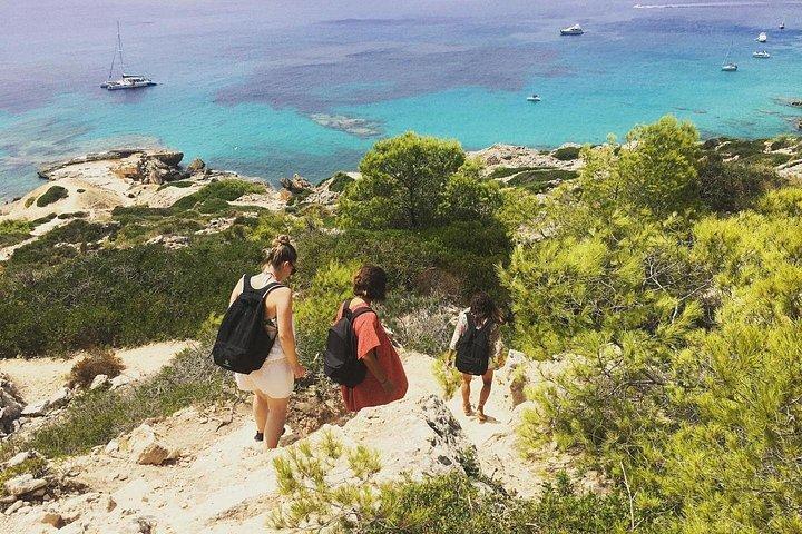 Best Beach Tours Mallorca. The Happy Vans.
