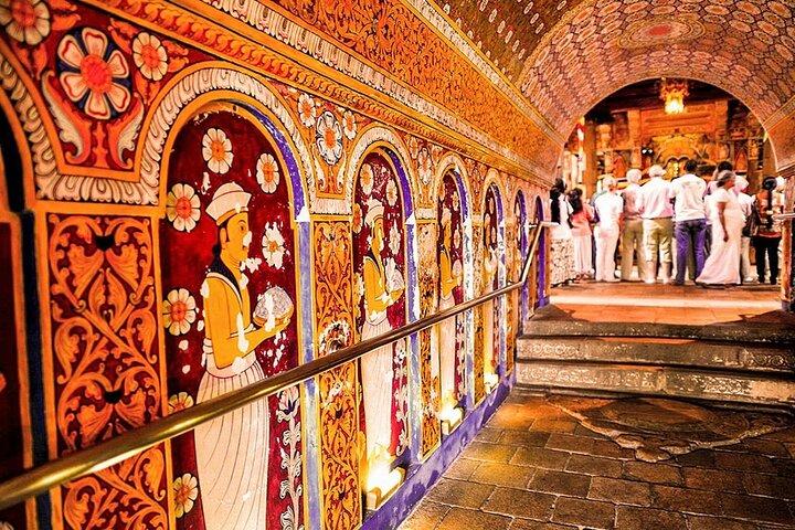 キャンディ 1 日ツアー - 2 つの寺院、キャンディ市とペラデニヤ庭園