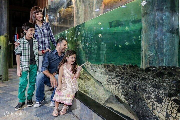 Burj Khalifa an der Spitze und Unterwasserzoo-Tour mit Transfer