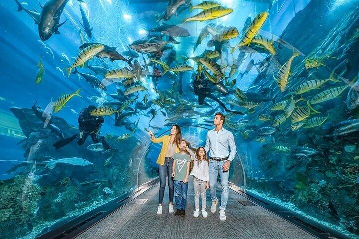 Dubai Mall Aquarium and Under Water Zoo and Ski Dubai Combo