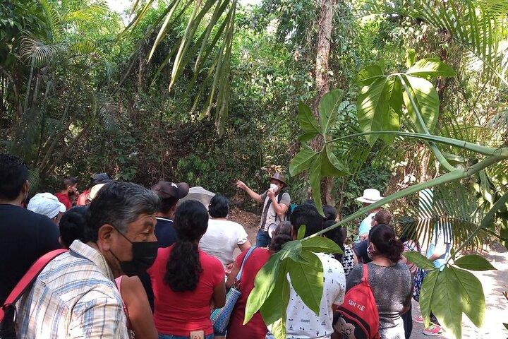 Rondleiding door de Olmec Stone Men