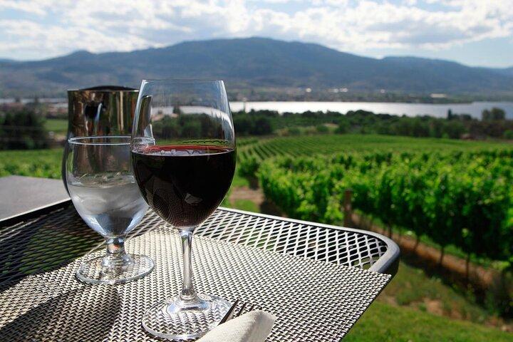 Excursão privada guiada pelo Niagara Wine Trail